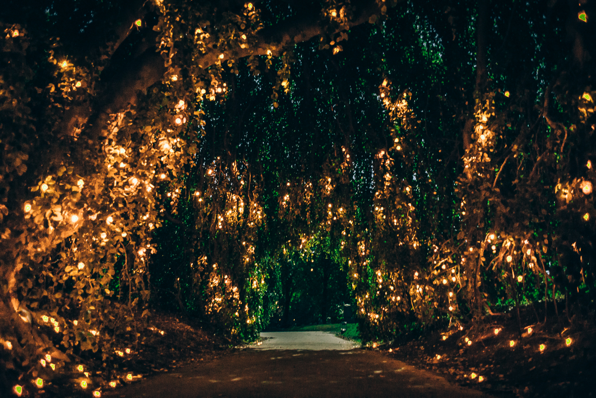 Светлячки В Саду – Эротические Сцены