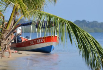 Must-Have Experiences to Enjoy in Bocas Del Toro