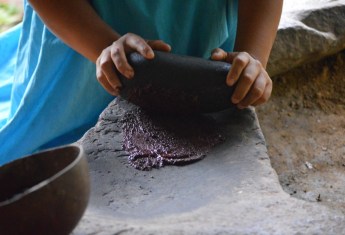 The Perfect Bite: Tasting Chocolate in the Panama Jungle