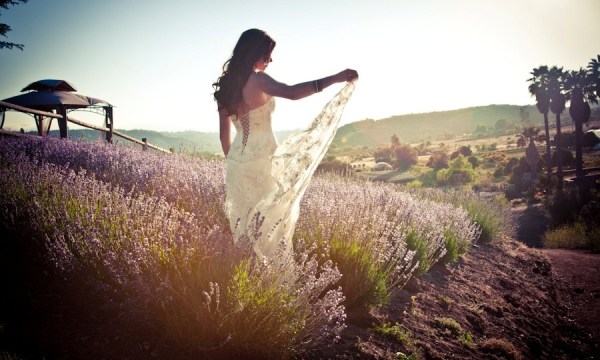 confessions of a runaway bride