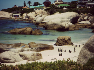 cape-town-south-africa-7