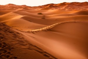 Sahara Desert camel trek | © Unsplash