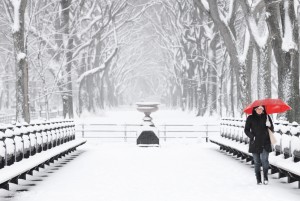 new-york-central-park-snow