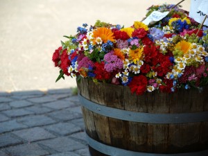 summer-flowers-germany