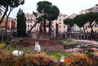 torre-argentina-rome